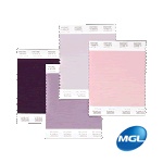 Replacement Page (TCX)