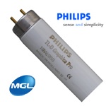 Daylight (5000K) Graphica(24