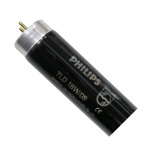 L040-(H&M-UV08-1824)