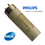 Daylight (6500K) Graphica(48